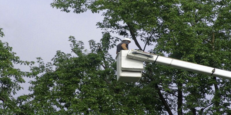 marysvillespotlight.com